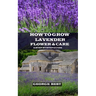How to Grow Lavender Flower and Care: A Step by Step Guide