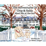 The Adventures of Chip and Salsa: Meet Me at the Inn