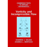 Vorticity and Incompressible Flow