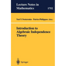 Introduction to Algebraic Independence Theory