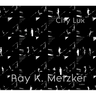 Ray K. Metzker: City Lux