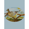 The Stone Soup Sketchbook (small): Sierra Glassman - Cedar Waxwing - unlined
