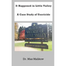 It Happened in Little Valley: A Case Study of Uxoricide