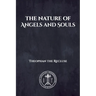 The Nature of Angels and Souls