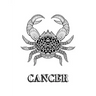 Cancer: Coloring Book with Three Different Styles of All Twelve Signs of the Zodiac. 36 Individual Coloring Pages. 8.5 x 11