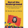 Out of the Underground: Homosexuality, The Radical Press, and the Rise and Fall of the Gay Liberation Front