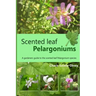 Scented leaf pelargoniums: A gardeners guide to the scented leaf pelargonium species
