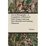 Cats in Photography - A Compilation of Historical Feline Images Capturing Their Beautiful and Amusing Characters