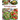 Summer Salads