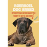 Boerboel Dog Breed: Interesting Infor Make You Want to Get a Boerboel: Boerboel Dog Breed Characteristics, Appearance, History