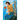 Kingdom, Vol. 4