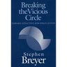 Breaking the Vicious Circle: Toward Effective Risk Regulation