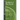 Handbook of Plant Growth PH as the Master Variable