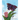 A Joyous Life