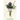 She-The Sultana