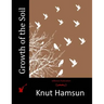 Growth of the Soil