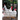 The Leghorn Fowl: A Guide to Leghorn Chickens