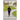 She Wasn't The One: The Walk Never Ended