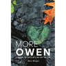 More Owen: Searching for Traces of a Son Gone Too Soon