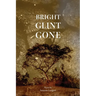 Bright Glint Gone