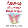 Caradog the Friendly Welsh Dragon
