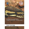 Certified Entry-Level Python Programmer (PCEP) - Practice Exams