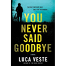 You Never Said Goodbye