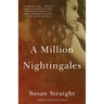 A Million Nightingales