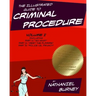 The Illustrated Guide to Criminal Procedure, Vol I: Parts 1-3, Including the Fourth Amendment Flowchart