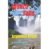 Iguazu Falls: Argentina Brazil