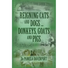 Reigning Cats and Dogs ... Donkeys, Goats and Pigs