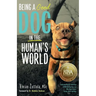 Being A (Good) Dog In The Human's World: Understanding the Psychology of Misbehaving Dogs and Why Yours Cowers, Growls and Bites