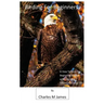 Birding for Beginners