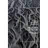 Philosophy of History: Twenty-First-Century Perspectives