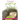 The Turtle With An Afro