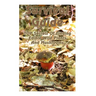 Survival Guide: TOP Secrets Of Finding Edible Wild Plants And Mushrooms: (Edible Wild Plants, Edible Mushrooms, How To Survive)