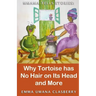 Mmama Tells Stories: Why Tortoise Has No Hair on its Head and More
