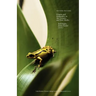 Second Nature: Origins and Originality in Art, Science, and New Media