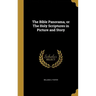 The Bible Panorama, or The Holy Scriptures in Picture and Story