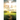 Before His Throne: 365 Days Of Inspirational Prayers, Bringing You Closer To God.