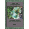 Plant and Fungus Spirits: Connect With Spirits of Field, Forest and Garden