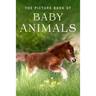 The Picture Book of Baby Animals: A Gift Book for Alzheimer's Patients and Seniors with Dementia