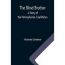 The Blind Brother: A Story of the Pennsylvania Coal Mines