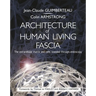 Architecture of Human Living Fascia: The Extracellular Matrix and Cells Revealed Through Endoscopy