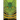 The Green Millennium (Heathen Edition)