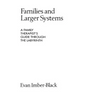 Families and Larger Systems: A Family Therapist's Guide Through the Labyrinth