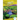 Layers of the Rain Forest
