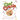 Chef Creole