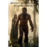 Bigfoot And Miss Emily