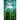 Dead Medium